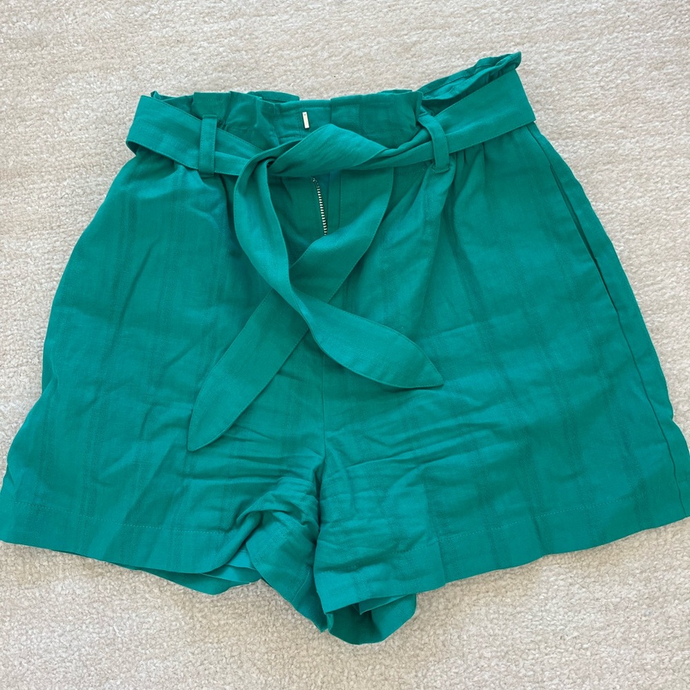 Express teal shorts - worn once